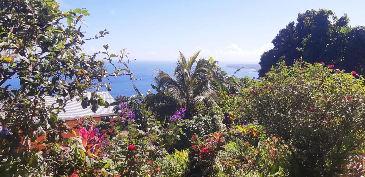 "Sunrise Inn" Nature Island Dominica Penville Luaran gambar