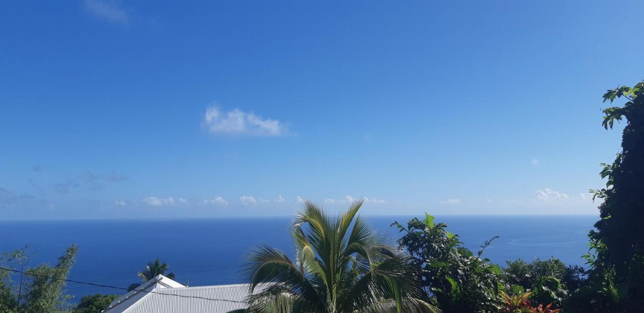 "Sunrise Inn" Nature Island Dominica Penville Luaran gambar