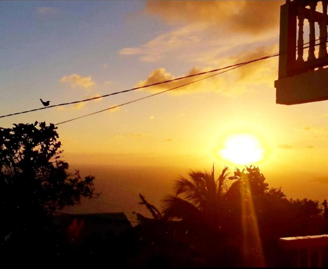 "Sunrise Inn" Nature Island Dominica Penville Luaran gambar